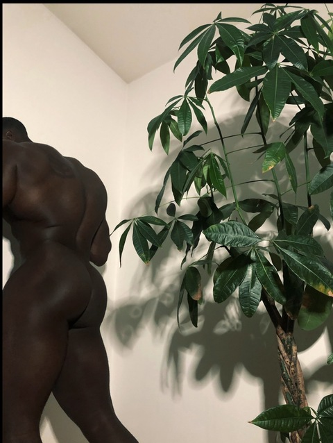 mrknedy onlyfans leaked picture 1