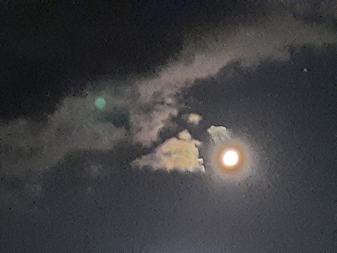 paegandeathsong onlyfans leaked picture 1