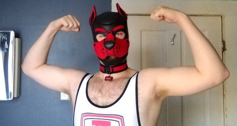 pup_scout onlyfans leaked picture 2