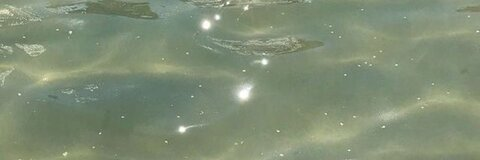 reg_gomez onlyfans leaked picture 1