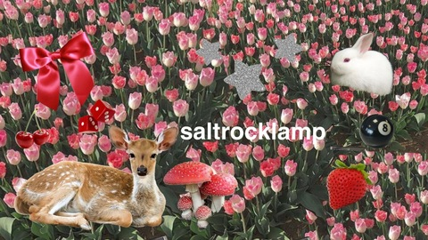 saltrocklamp onlyfans leaked picture 1